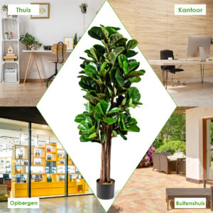 Product afbeelding