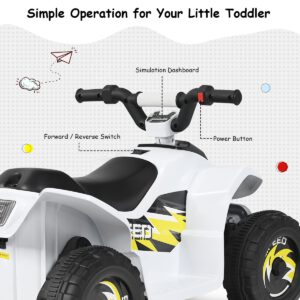 Product afbeelding